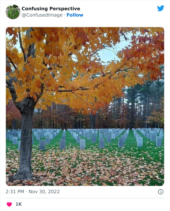 27. Oh wow, my eyes won’t accept that it’s one whole image