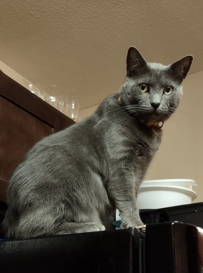 4. You, a mere human and mortal, wouldn't dare prepare his food incorrectly.