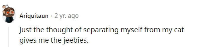 The mere thought of parting with their cat sends shivers down their spine, just like encountering an empty coffee cup on a Monday morning.