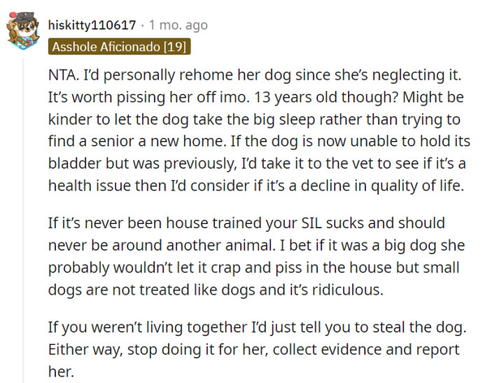 Small dogs deserve dignity too!