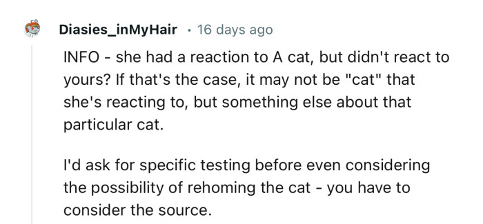 “I'd ask for specific testing before even considering the possibility of rehoming the cat.”