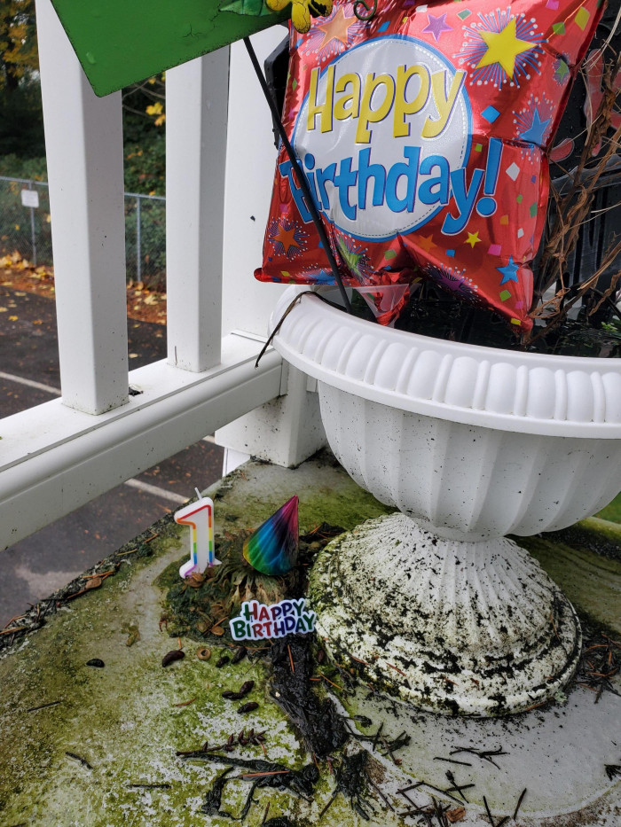 Happy birthday, pumpkin!