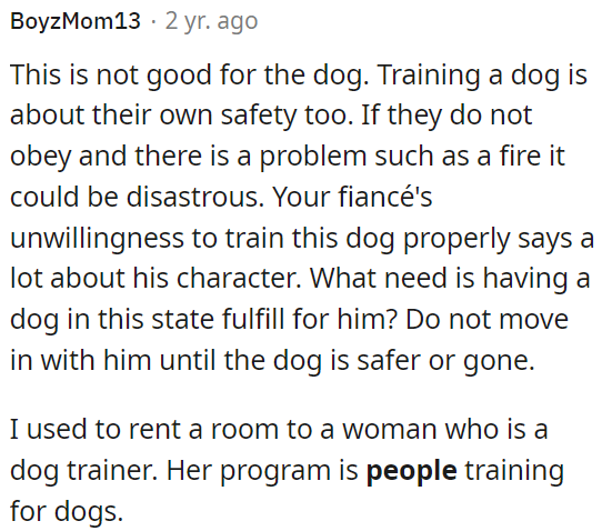 Training a dog is essential for safety.