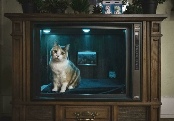11. “An Old TV Repurposed Into A Cat Bed”