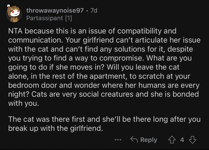 OP's cat is bonded with him.