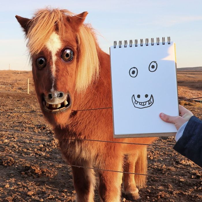 6. So, the kid blessed this pony with asymmetrical eyes and broken teeth