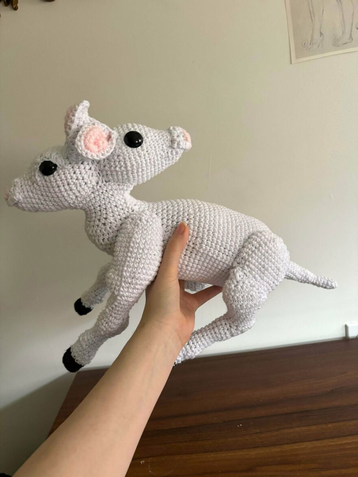 "My Second Two-Headed Plushie Friend!"