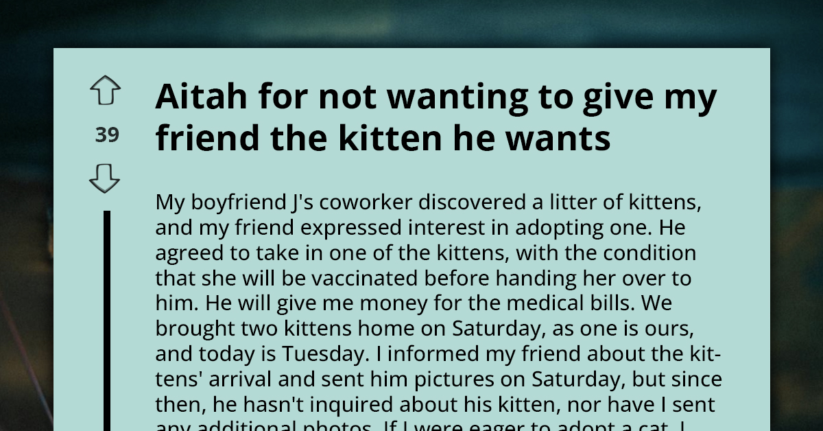 Woman Agreed To Give A Kitten To Her Friend, But The Cat Bonded With Her Family