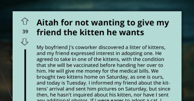 Woman Agreed To Give A Kitten To Her Friend, But The Cat Bonded With Her Family