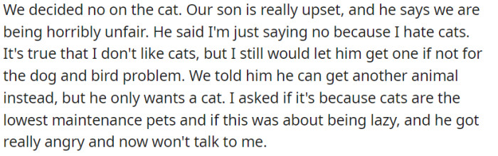 The family's decision to refuse their son's request for a cat has left him feeling deeply upset and resentful, convinced that their denial stems from a personal dislike for cats.