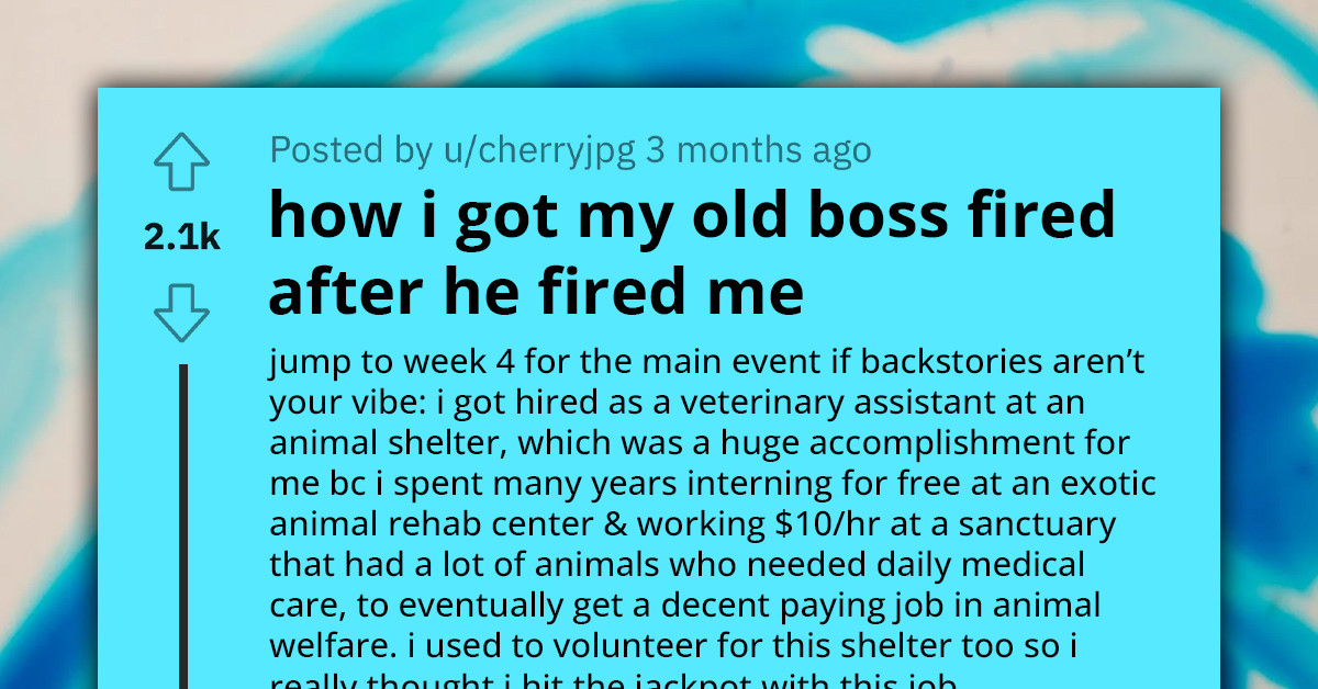 OP Gets Toxic Boss Fired After Documenting Workplace Discrimination and Relentless Bullying Linked to Their Disabilities
