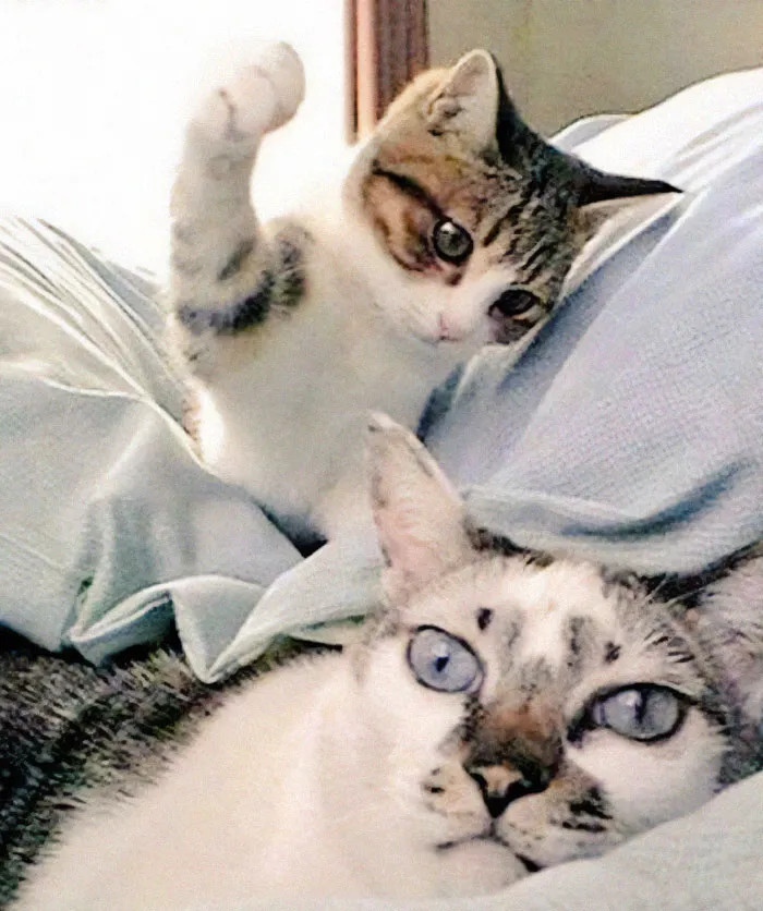 2. Turn Around Quickly!