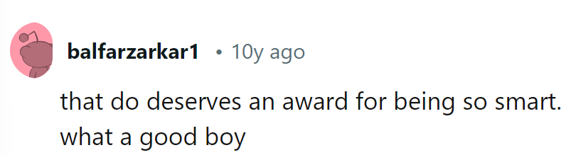 Looks like that dog deserves a Nobel Prize for Canine Intelligence! Truly a remarkable good boy.