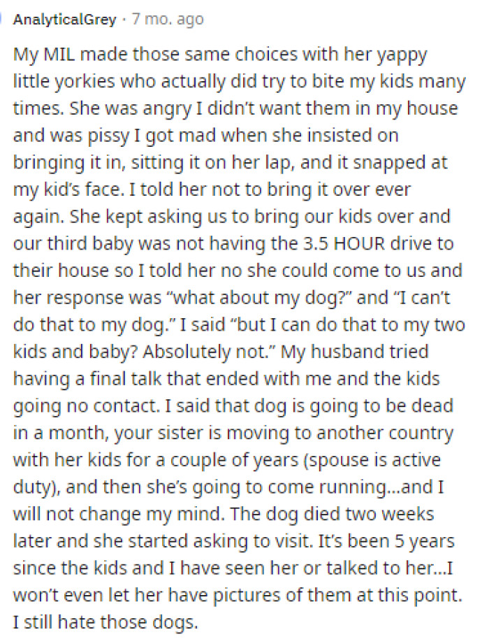 Many different personal stories were shared in the comments about the encounters they've had with dogs.