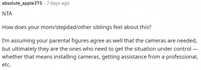 It's clear that most people on Reddit agreed that they should continue putting up cameras to get the proof they need.