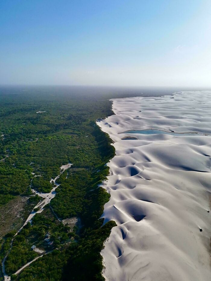 "The Sharp Dividing Line Between A Lush Forest And The White Sand Dunes Of Lençóis Maranhenses, Brazil"