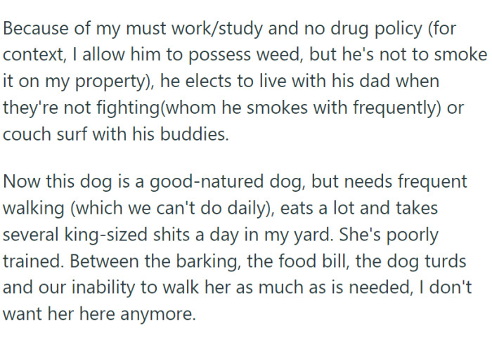 With nowhere stable to go, the stepson resorted to couch surfing and camping, leaving his dog under the temporary care of his stepfather, with the assurance that it would be for only a week.