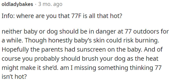 77°F may not be considered hot for most people, but it can still pose some risks to babies and dogs if they are exposed to it for a prolonged time without proper precautions