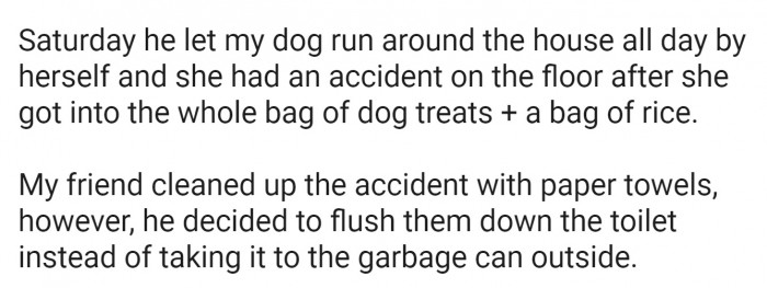 Unfortunately, things *did* go wrong, with their friend leaving the poor dog alone all day on Saturday.