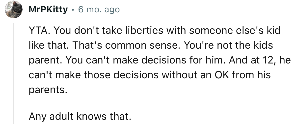 YTA. You don't take liberties with someone else's kid like that. That's common sense.