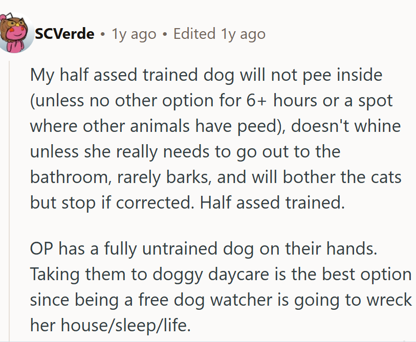 OP has a fully untrained dog on their hands.