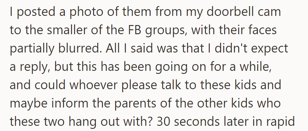 Posted a blurred photo of kids from the doorbell cam to a smaller FB group. OP asked for help talking to them and informing their parents about their friends.
