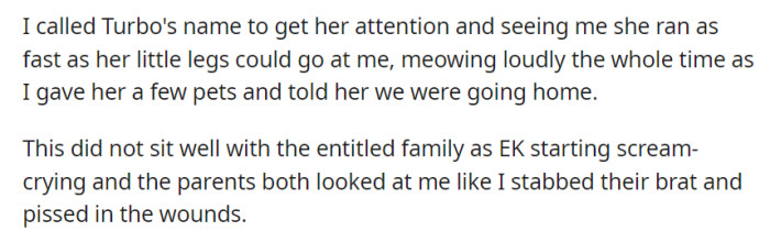 OP called Turbo, rescued their cat, and the entitled family's furious reaction left them with piercing glares.