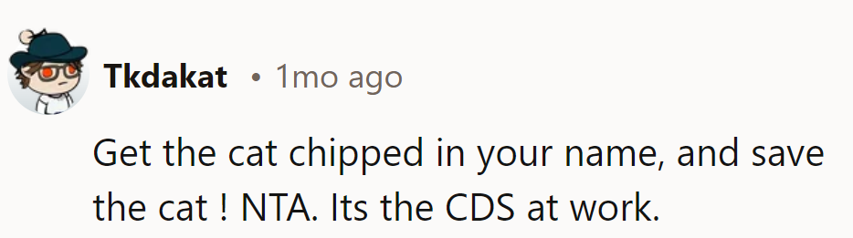 Chip, chip, hooray! NTA. It's all about Cat Defense Strategies (CDS) in action!