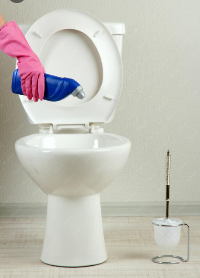 The Right Way to Clean a Toilet