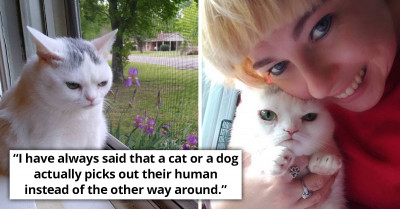 Grumpy Cat 2.0. Steals Hearts All Over The Internet And Continues The Legacy Of The Famous 'Grumpy Cat'
