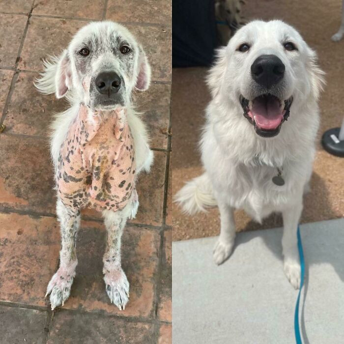 "Before And After"