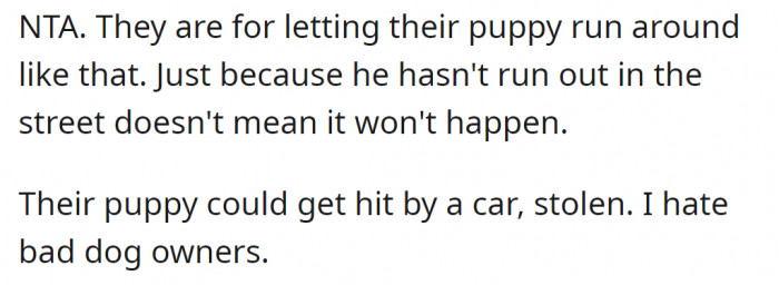 They are irresponsible dog owners