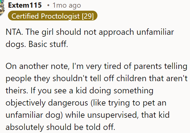 The Girl Shouldn't Have Approached an Unfamiliar Dog