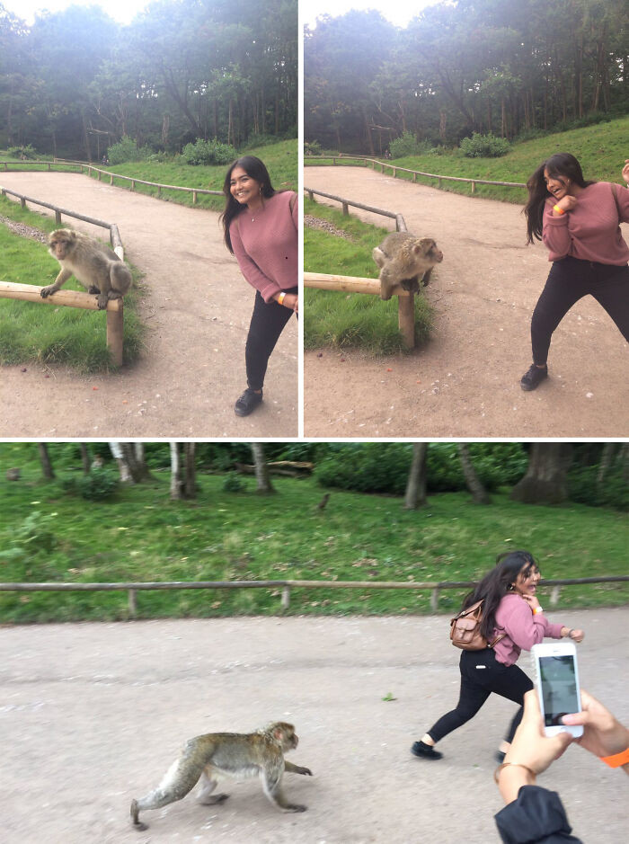 "Trying To Take A Picture With The Monkey"