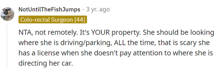 It's their property, and the neighbor needs to be more careful while driving and parking!