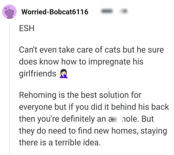 Rehoming is the best solution for everyone