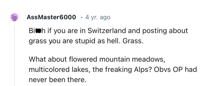 “Bi**ch if you are in Switzerland and posting about grass, you are stupid as hell.”