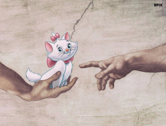 5. Such a cute little cat