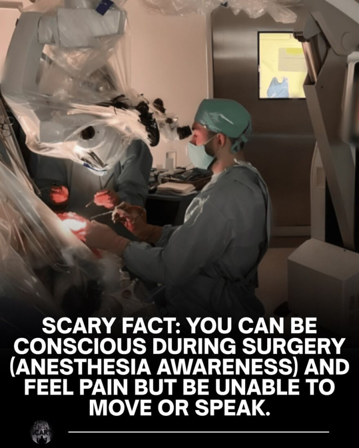 22. A fact about surgery
