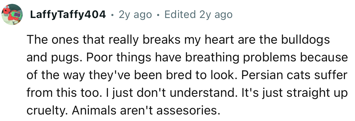 Bulldogs and pugs have breathing problems because of the way they've been bred to look