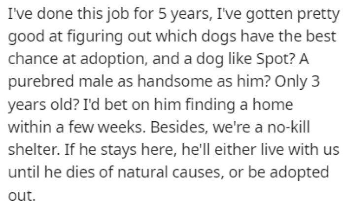 OP easily recognized Spot, and she immediately thought of a great idea