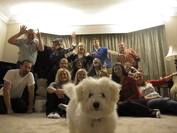 "Family Christmas Picture Photobombed"
