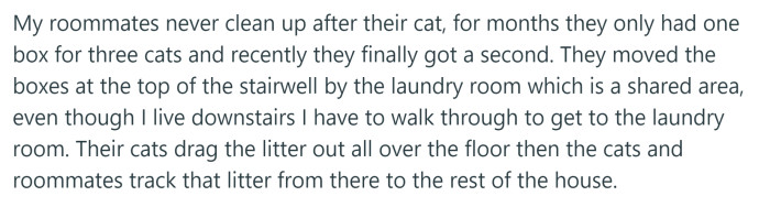 OP's Roommates Have a Habit of Never Cleaning Up After Their Cats