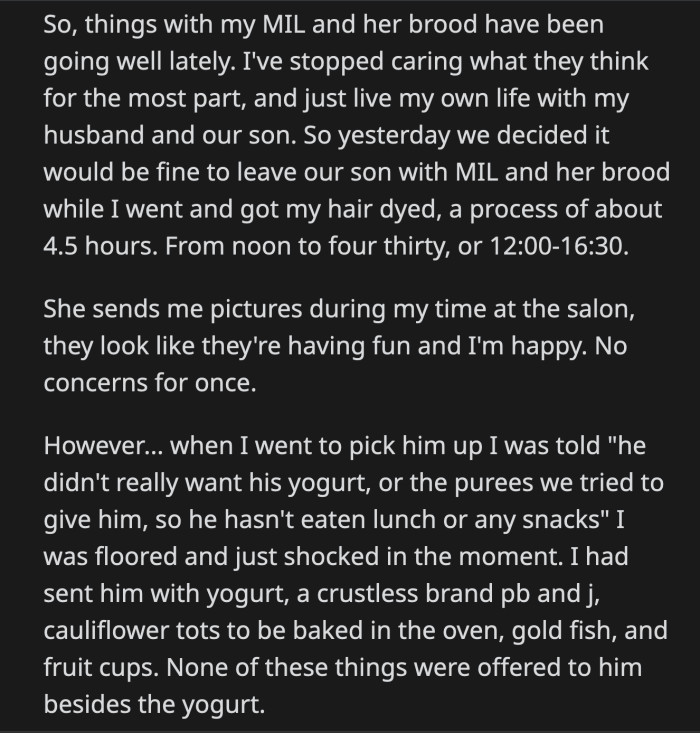 They Decided to Keep Their Opinions to Themselves for a While So as Not to Upset MIL, Who Just Celebrated Her Birthday