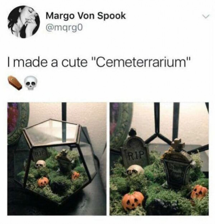 Okay, now this is the perfect Halloween decoration idea for all year round.