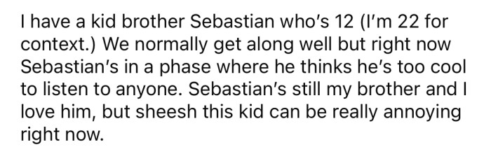 She explained that her 12-year-old brother is going through a phase of particularly bad behavior.