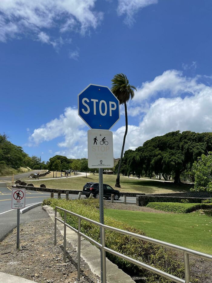 "Blue Stop Sign In Hawai’i"