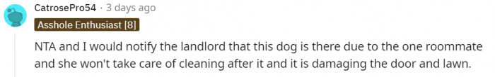 This Redditor Thinks OP Should Notify the Landlord That Her Roommate's Dog Is Already Damaging Some Parts of the House