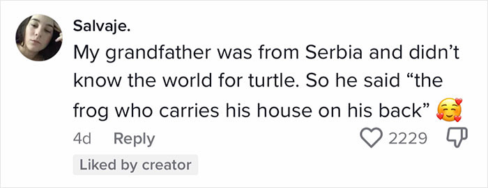 15. The frog with house