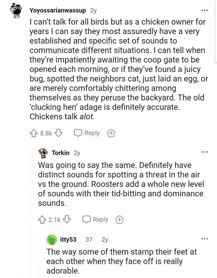 This poultry farmer seems to have learned how to understand his chickens